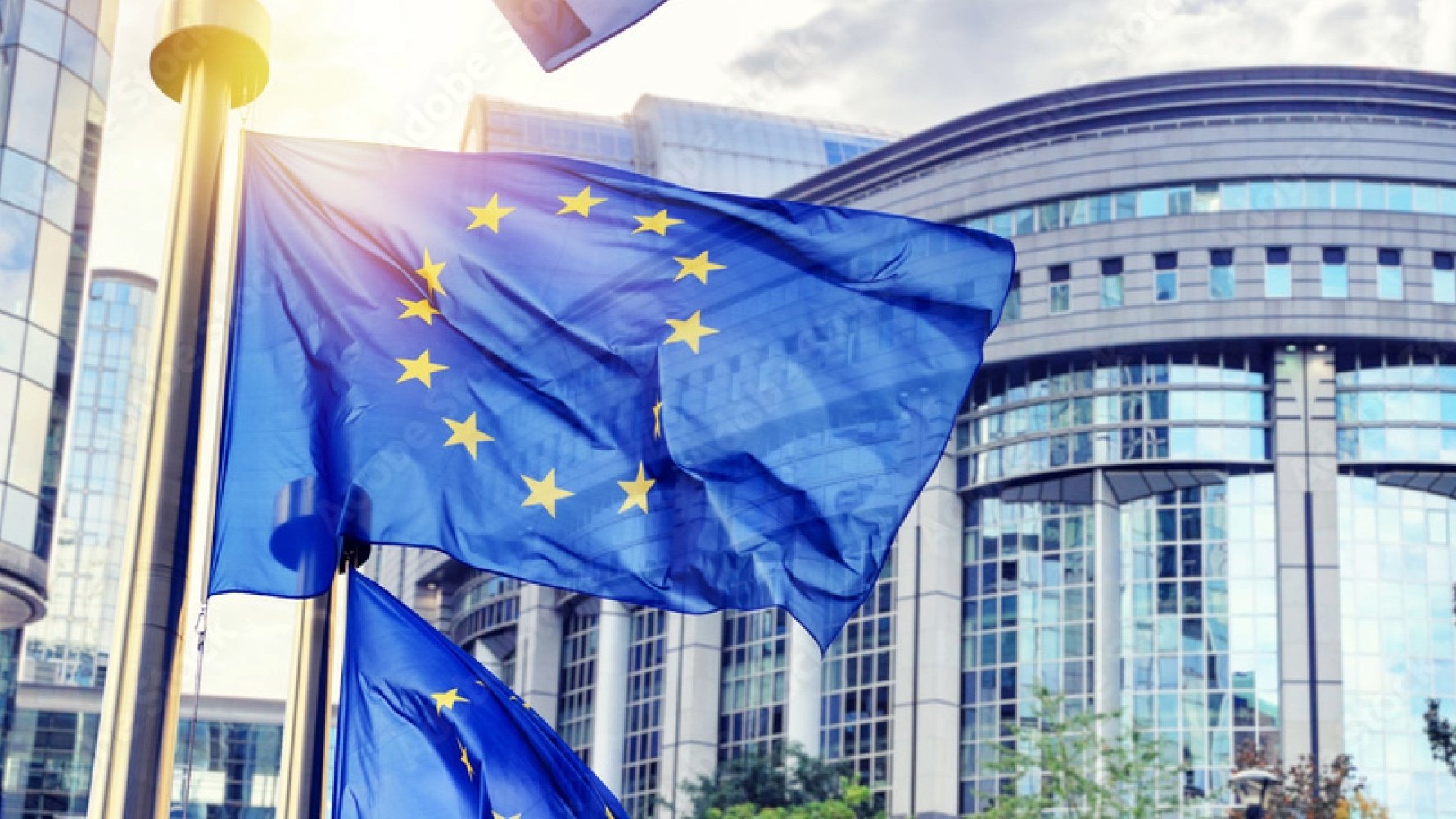 Adobe Express - file