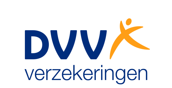 DVV logo